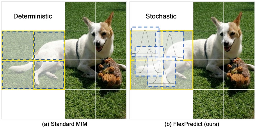 Alternate visual result from Stochastic Positional Embeddings Improve Masked Image Modeling