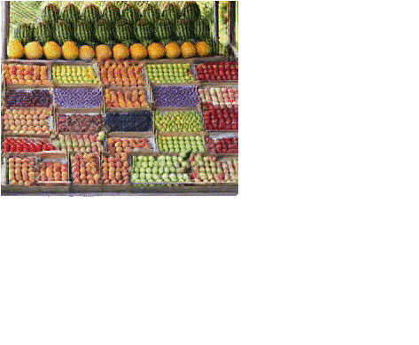 Alternate visual result from InGAN: Capturing and Retargeting the "DNA" of a Natural Image